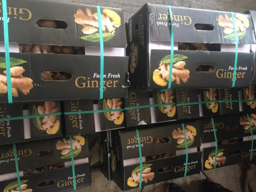 Die-cut packaging and inserts